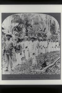 Filipino soldiers returning to camp, 1900-1910