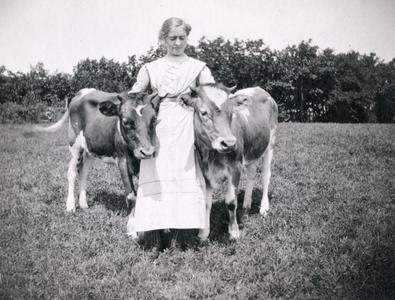 Woman and calves