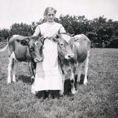 Woman and calves