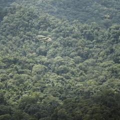 Pristine tropical rainforest, Si-A-Paz Reserve