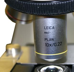 View of 10x objective of the Leica microscope used in General Botany taught at the University of Wisconsin-Madison.
