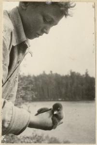 Starker holding loon chick, Quetico, June 1924