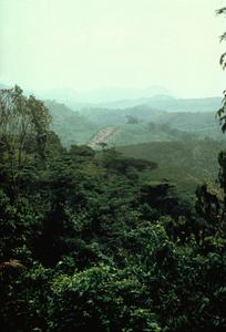 View of Ruwenzori Mountains Seen from Within