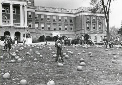 Gathering pumpkins