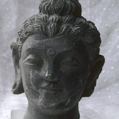 NG453, Head of a Buddha