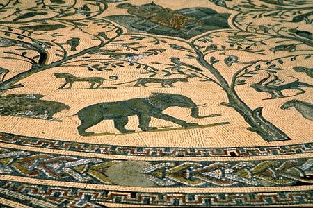 Volubilis Mosaic Floor with Lion