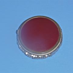 Round compact with a maroon enameled lid