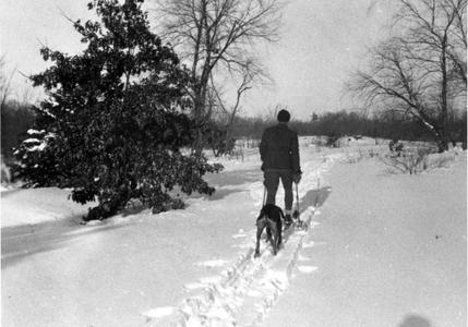 Aldo Leopold skiing with Gus