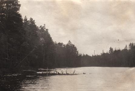 Mamie Lake region