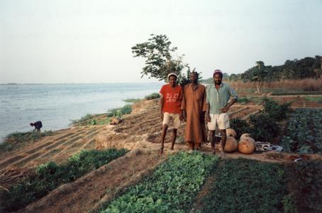 Gardeners and Gardens by the Niger