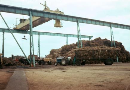 Sugar Cane being Loaded at Refinery