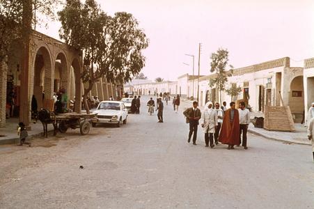 Oasis Town of Tozeur