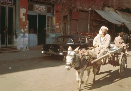 Donkey and Cart in Cairo