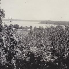 Viola Lake