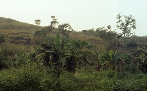 Hills in Ife