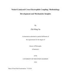 Nickel-Catalyzed Cross-Electrophile Coupling: Methodology Development and Mechanistic Insights