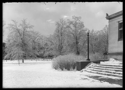 Library and park, snow - January