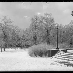 Library and park, snow - January