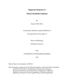 Epigenetic Responses to Methyl-Metabolite Depletion