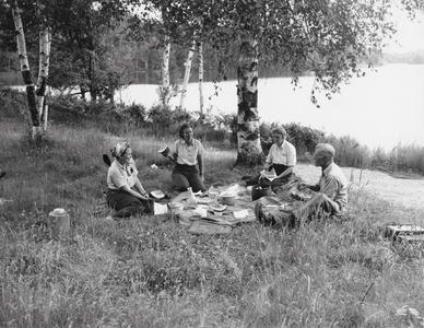 Picnickers in American Legion State Forest