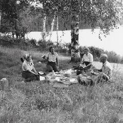 Picnickers in American Legion State Forest