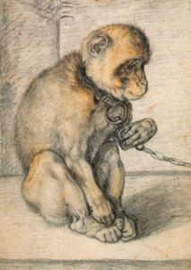 Seated Monkey on Chain