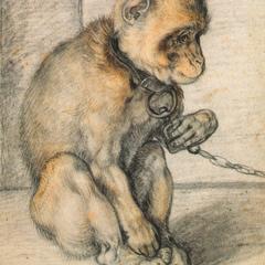 Seated Monkey on Chain