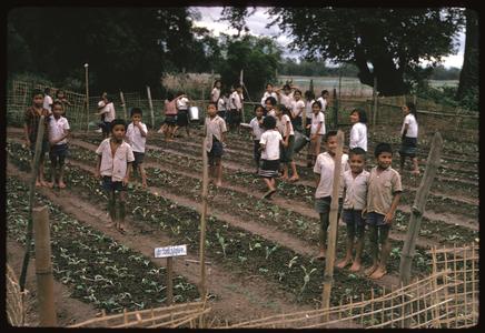 Tha Deua bend : school garden