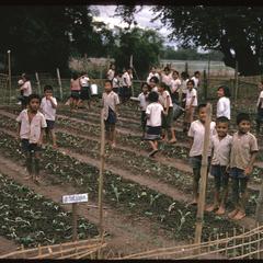 Tha Deua bend : school garden