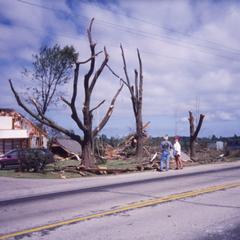 Door County tornado