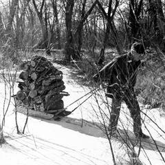 Aldo Leopold pulling sled with firewood