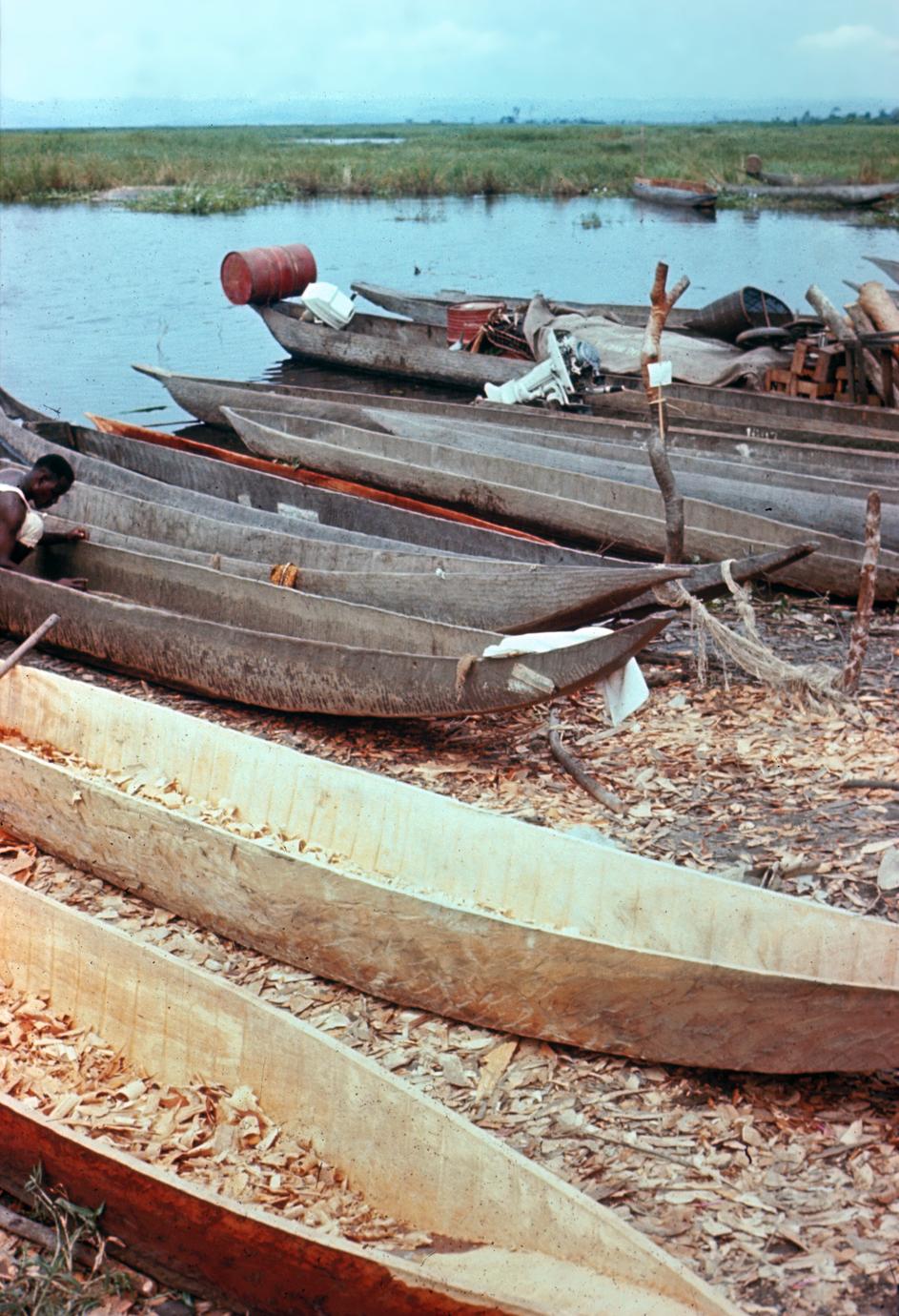 Dugout Canoes Being Made on Congo River Bank