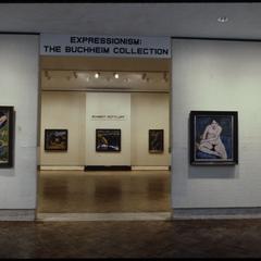 Expressionism : The Buchheim Collection