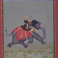 The Elephant Nakhatula