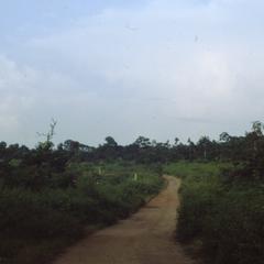 Road and farms in Oshogbo