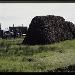 Isle of Skye, stack of peats on a farm