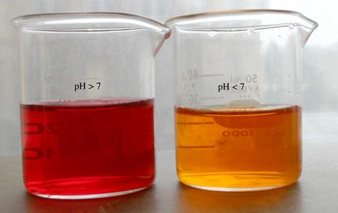Phenol red in a solution greater than pH 7 and in one lower than pH 7