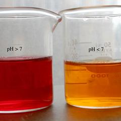 Phenol red in a solution greater than pH 7 and in one lower than pH 7