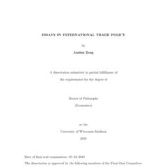 ESSAYS IN INTERNATIONAL TRADE POLICY