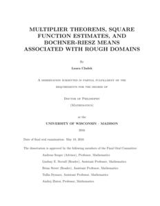 Multiplier Theorems, Square Function Estimates, and Bochner-Riesz Means associated with Rough Domains