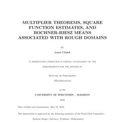 Multiplier Theorems, Square Function Estimates, and Bochner-Riesz Means associated with Rough Domains
