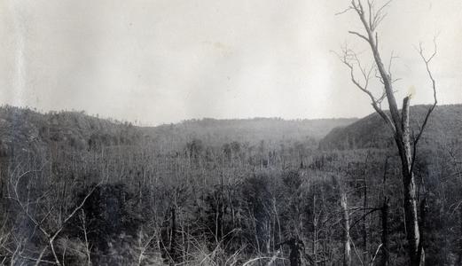 Marengo Valley