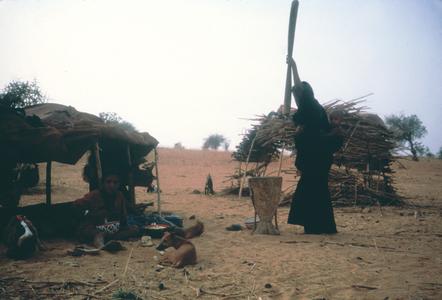 Tuareg Woman Pounding Millet at an Isolated Homestead in Central Niger