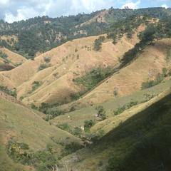 Grazed savanna between Cuilapa and Jutiapa