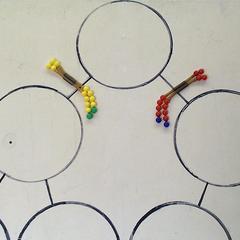 Pop beads on a meiotic diagram modeling Anaphase I