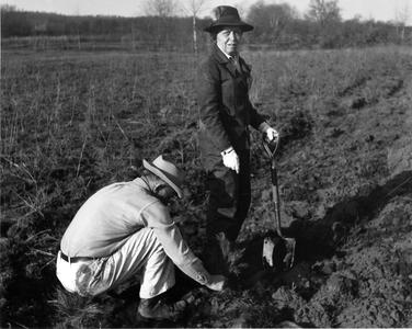 Aldo and Marie Leopold planting pines