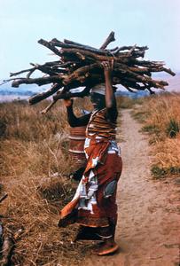 Woman Carrying Firewood