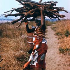 Woman Carrying Firewood