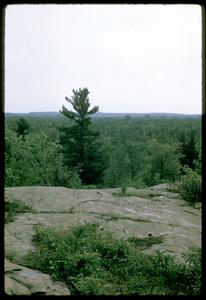 View of Cactus Rock, Ferry Bluff, State Natural Area