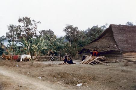 Yao (Iu Mien) village in Houa Khong Province